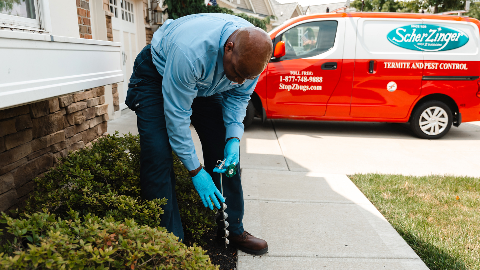 Termite Solutions