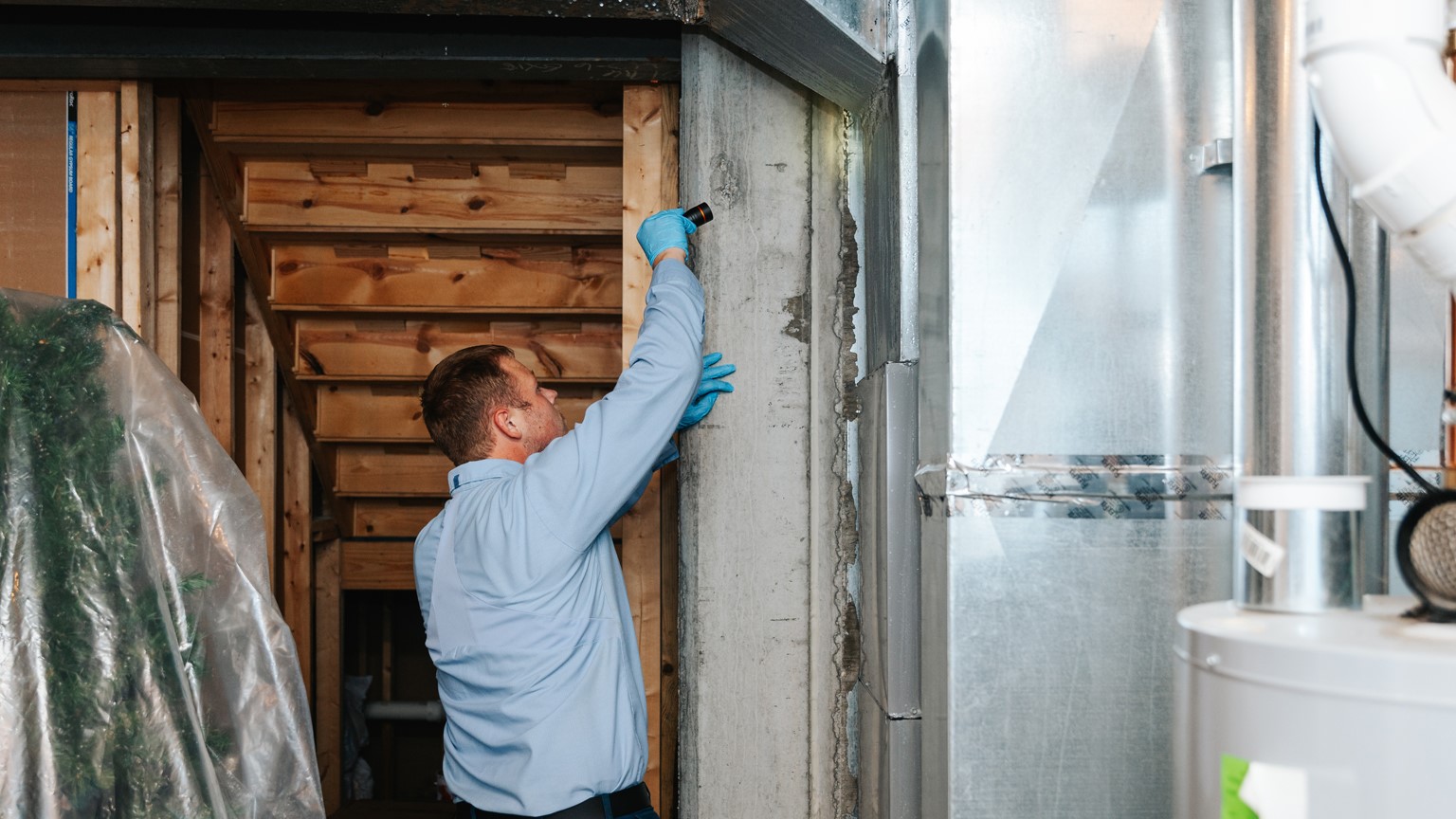 Seasonal Pest Control Guide: What Dayton Homeowners Should Expect Each Season